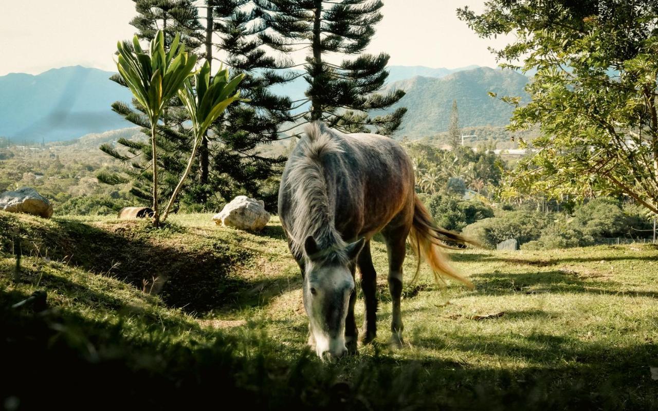 Rivland Resort Païta Εξωτερικό φωτογραφία