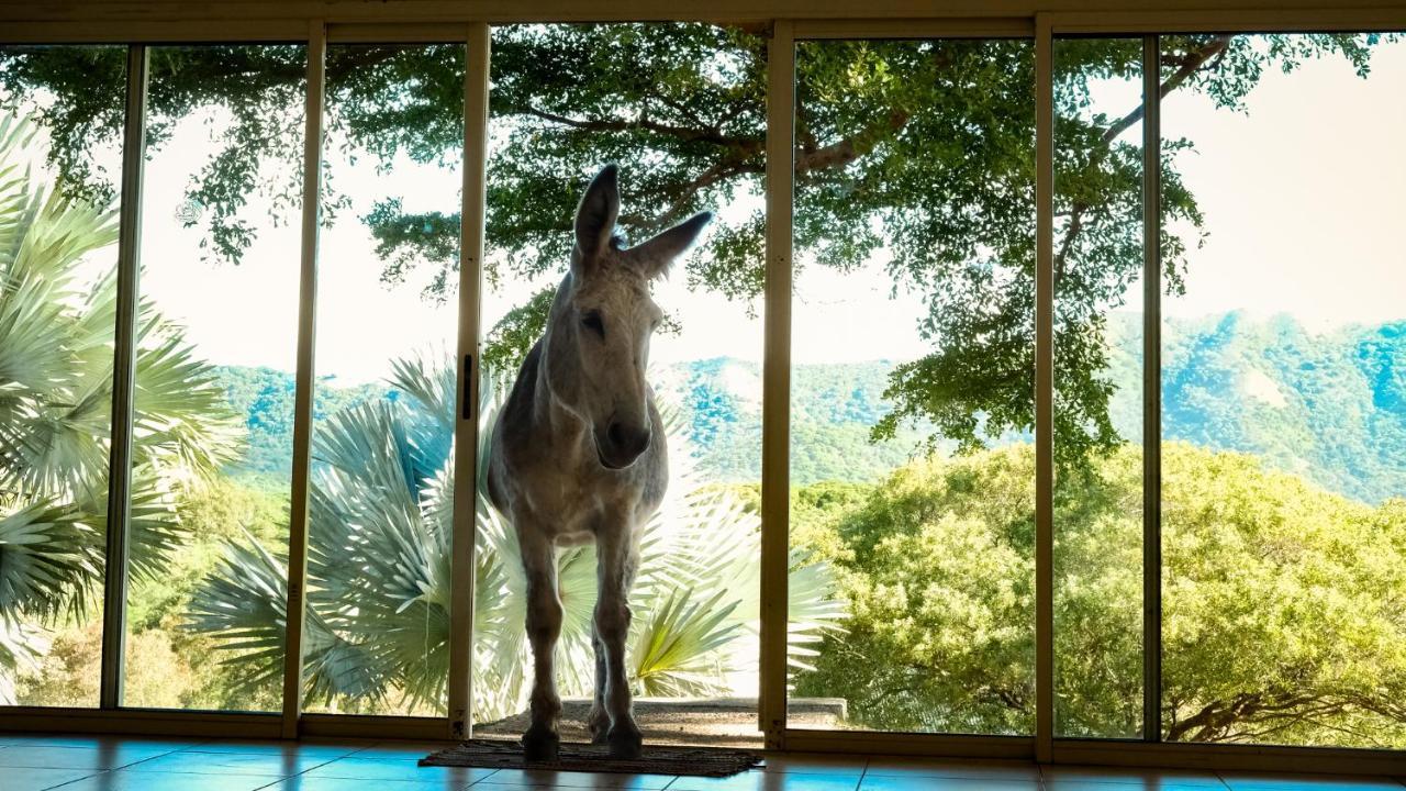 Rivland Resort Païta Εξωτερικό φωτογραφία